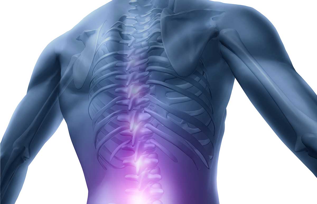 spine specialist near me spine specialist near me