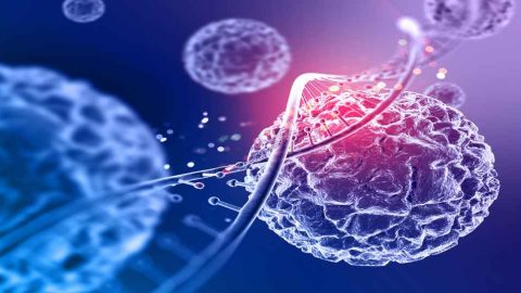 Which diseases can be treated by stem cell therapy?