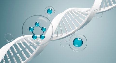 Regenerative Medicine: What You Need to Know